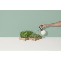 Good Roots Microgreens Grow Kit - Broccoli and Pea